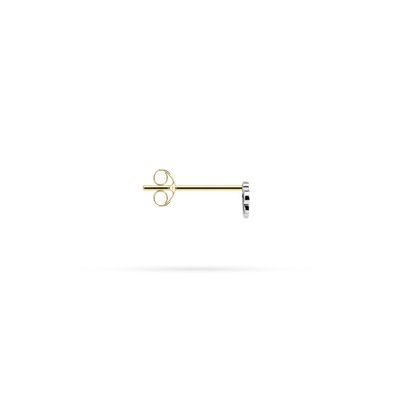 BO-497.02.JG_CT_SW.png